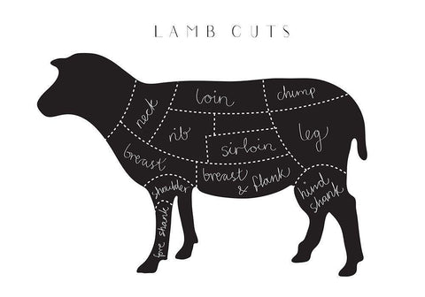 Lamb Cuts White Modern Wood Framed Art Print with Double Matting by Artographie Studio