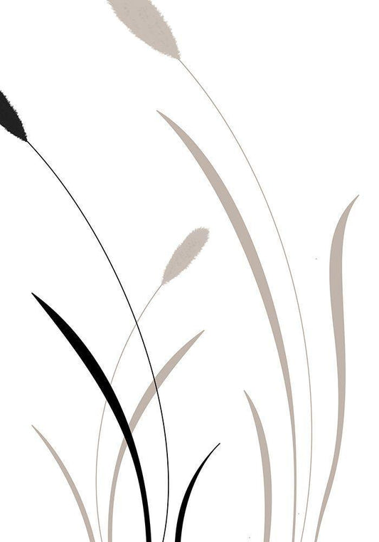 Image Only