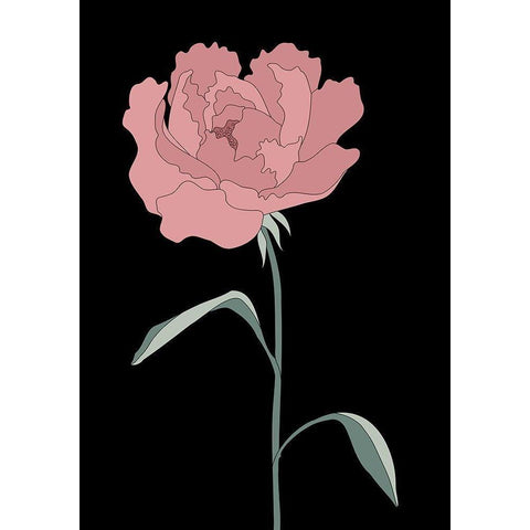 Peony 01 Black Modern Wood Framed Art Print with Double Matting by Artographie Studio