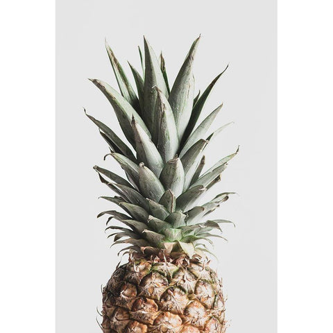 Pineapple Natural Black Modern Wood Framed Art Print with Double Matting by Artographie Studio