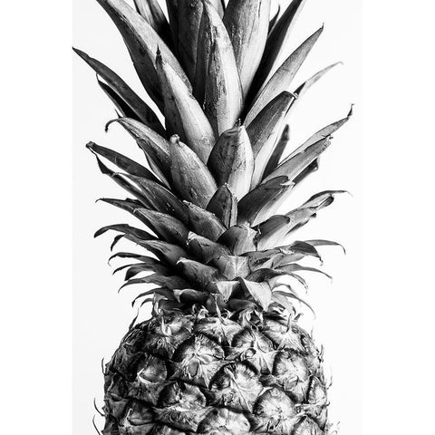 Pinapple Black a White 03 White Modern Wood Framed Art Print by Artographie Studio