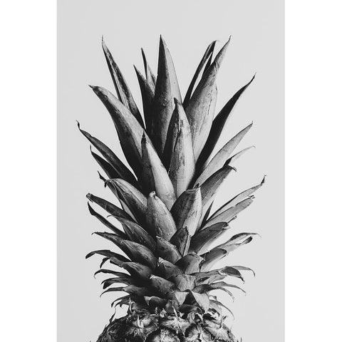 Pinapple Black a White 05 White Modern Wood Framed Art Print by Artographie Studio