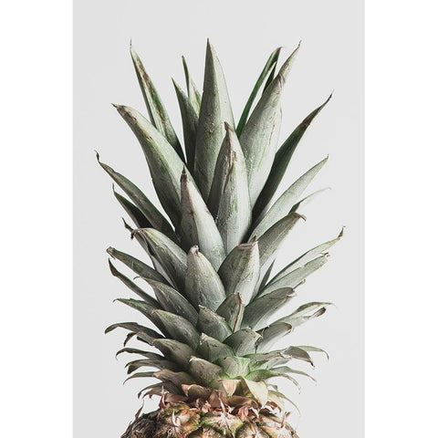 Pineapple Natural 02 Black Modern Wood Framed Art Print by Artographie Studio