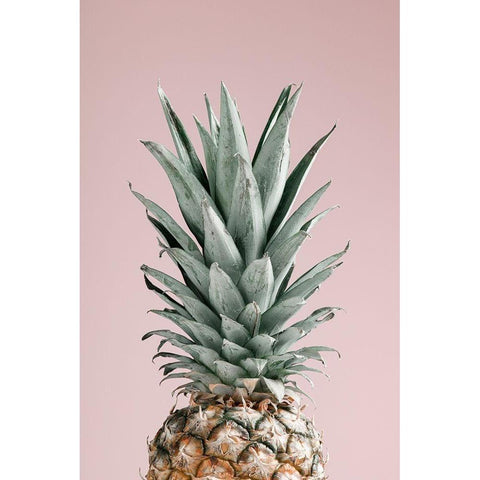 Pineapple Pink 02 Black Modern Wood Framed Art Print with Double Matting by Artographie Studio