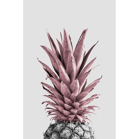 Pineapple Pink 04 White Modern Wood Framed Art Print by Artographie Studio