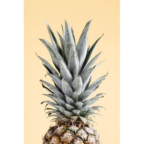 Pineapple Yellow 04 Black Modern Wood Framed Art Print with Double Matting by Artographie Studio