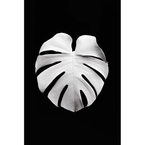 Monstera White 04 Black Modern Wood Framed Art Print with Double Matting by Artographie Studio