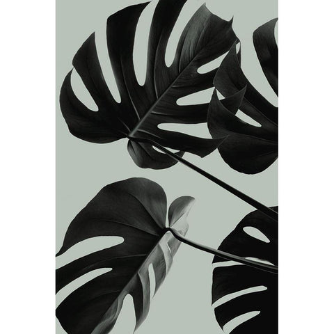 Monstera Teal 08 Black Modern Wood Framed Art Print with Double Matting by Artographie Studio