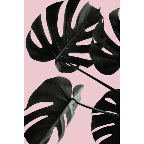 Monstera Pink No 01 White Modern Wood Framed Art Print by Artographie Studio