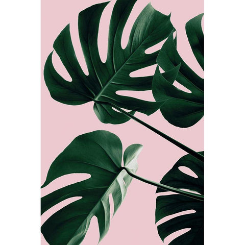 Monstera Pink No 08 Gold Ornate Wood Framed Art Print with Double Matting by Artographie Studio