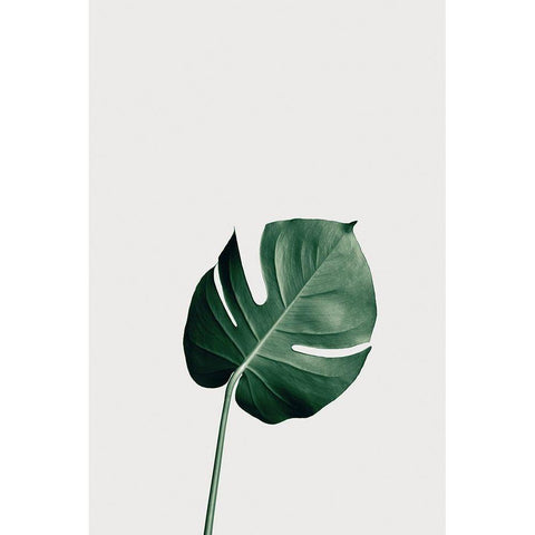 Monstera Natural 01 White Modern Wood Framed Art Print by Artographie Studio