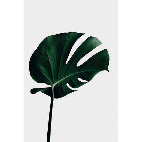 Monstera Natural 02 Black Modern Wood Framed Art Print with Double Matting by Artographie Studio