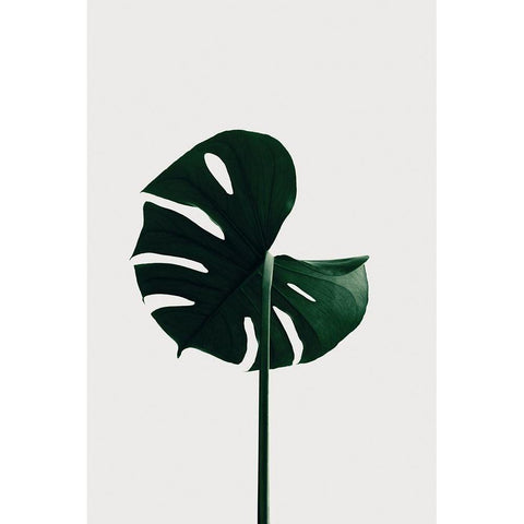 Monstera Natural 06 Black Modern Wood Framed Art Print with Double Matting by Artographie Studio