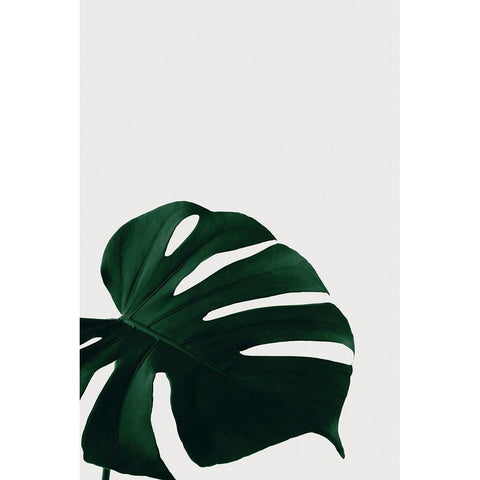 Monstera Natural 08 Black Modern Wood Framed Art Print with Double Matting by Artographie Studio