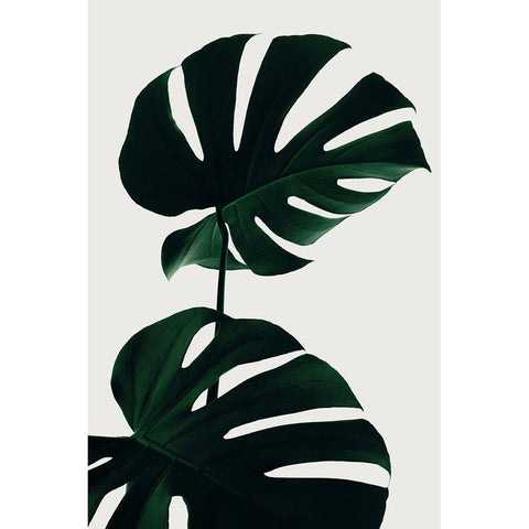 Monstera Natural 09 Black Modern Wood Framed Art Print with Double Matting by Artographie Studio