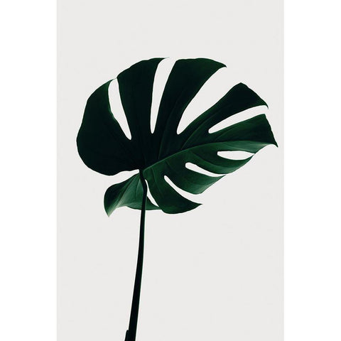 Monstera Natural 10 Black Modern Wood Framed Art Print with Double Matting by Artographie Studio