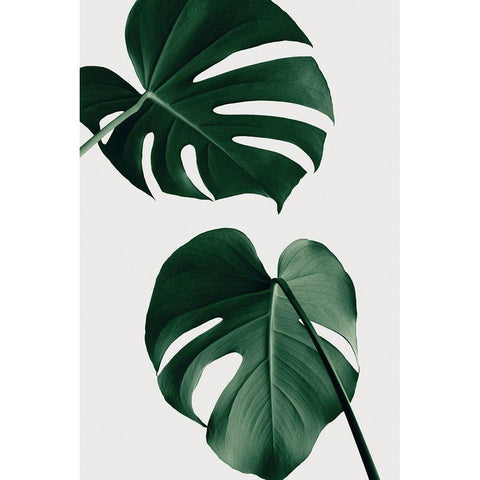 Monstera Natural 18 Gold Ornate Wood Framed Art Print with Double Matting by Artographie Studio