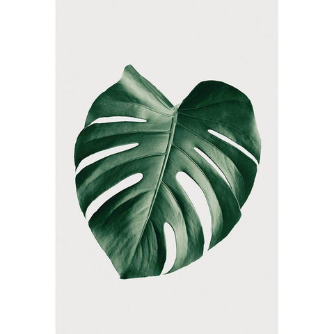 Monstera Natural 23 Black Modern Wood Framed Art Print with Double Matting by Artographie Studio