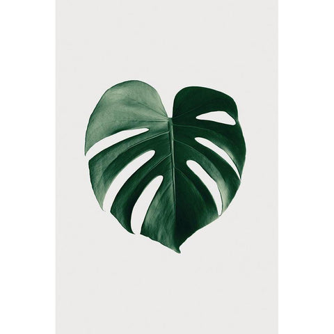 Monstera Natural 24 Black Modern Wood Framed Art Print with Double Matting by Artographie Studio