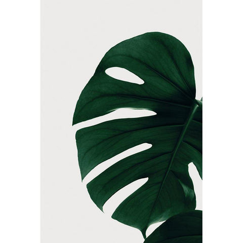 Monstera Natural 30 Black Modern Wood Framed Art Print with Double Matting by Artographie Studio