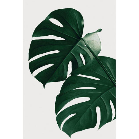 Monstera Natural 32 Gold Ornate Wood Framed Art Print with Double Matting by Artographie Studio