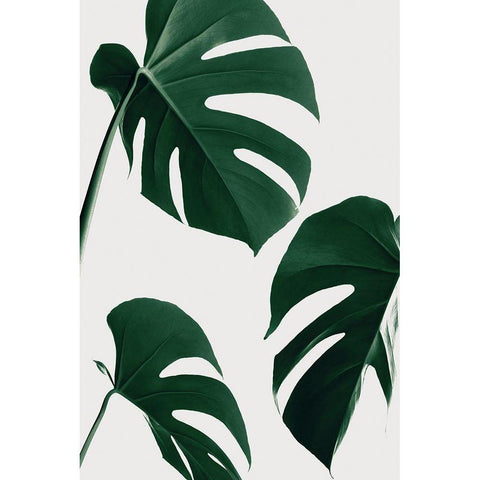 Monstera Nautral 39 White Modern Wood Framed Art Print by Artographie Studio