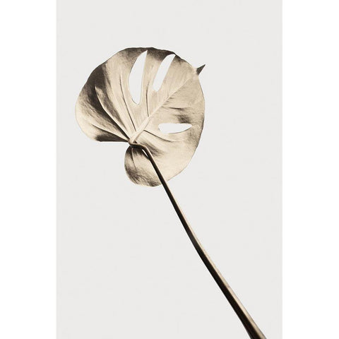 Monstera Gold 03 Black Modern Wood Framed Art Print with Double Matting by Artographie Studio