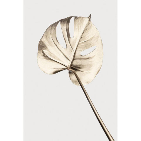 Monstera Gold 05 White Modern Wood Framed Art Print by Artographie Studio