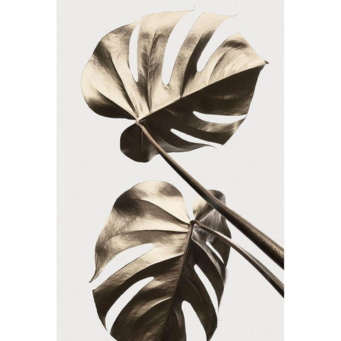 Monstera Gold 08 White Modern Wood Framed Art Print by Artographie Studio