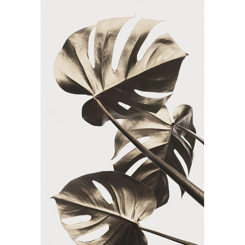 Monstera Gold 09 Black Modern Wood Framed Art Print with Double Matting by Artographie Studio