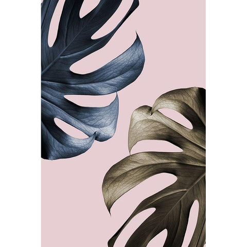 Monstera Pink Light 01 Black Modern Wood Framed Art Print with Double Matting by Artographie Studio