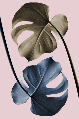 Monstera Pink Light 02 White Modern Wood Framed Art Print with Double Matting by Artographie Studio