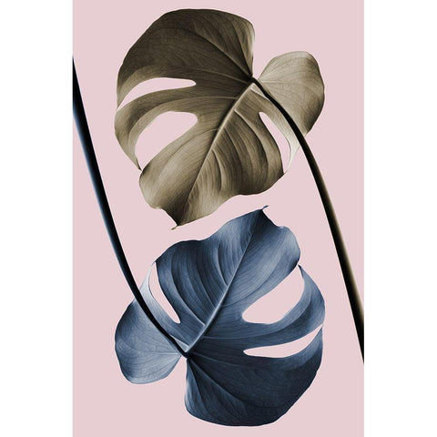 Monstera Pink Light 02 Black Modern Wood Framed Art Print with Double Matting by Artographie Studio