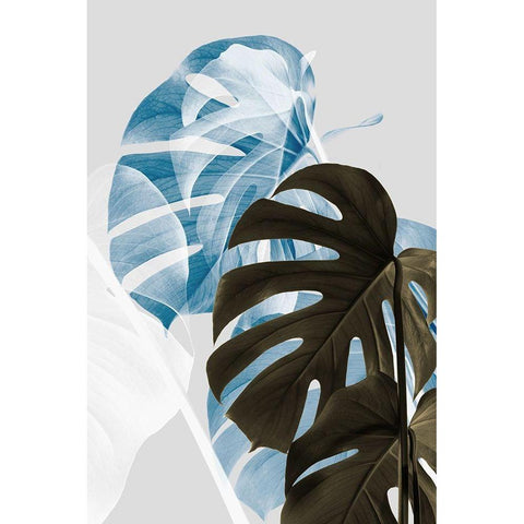 Monstera Creative 02 Black Modern Wood Framed Art Print with Double Matting by Artographie Studio