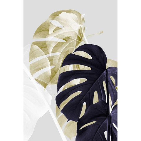 Monstera Creative 06 Black Modern Wood Framed Art Print with Double Matting by Artographie Studio