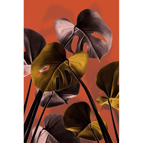 Monstera Orange 01 Black Modern Wood Framed Art Print with Double Matting by Artographie Studio