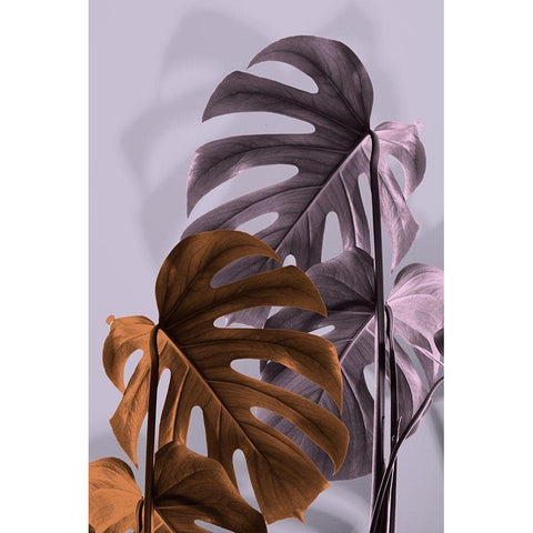 Monstera Purple 02 Black Modern Wood Framed Art Print with Double Matting by Artographie Studio