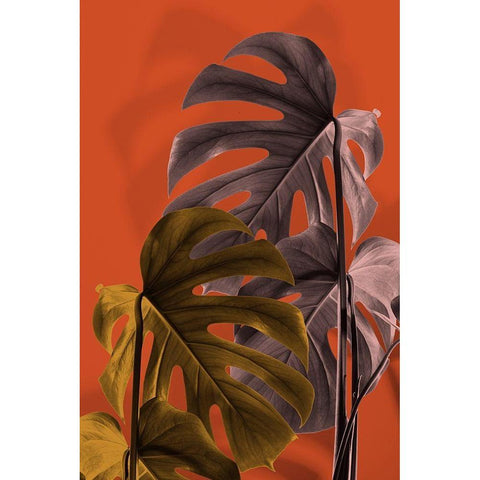 Monstera Orange 02 Gold Ornate Wood Framed Art Print with Double Matting by Artographie Studio