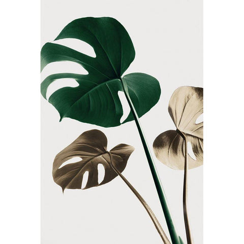 Monstera Mix 04 Black Modern Wood Framed Art Print with Double Matting by Artographie Studio