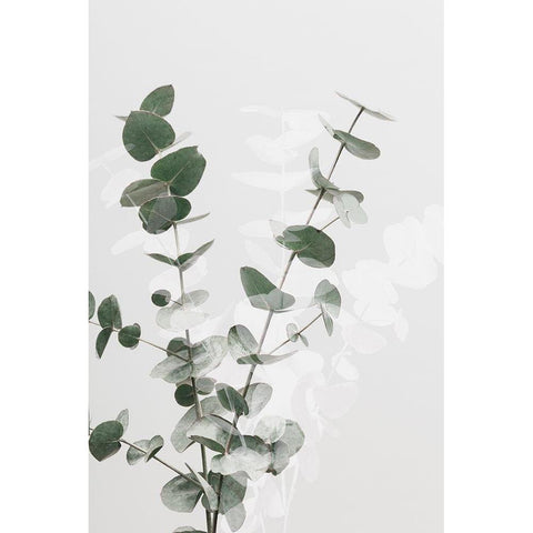 Eucalyptus Creative 02 White Modern Wood Framed Art Print by Artographie Studio