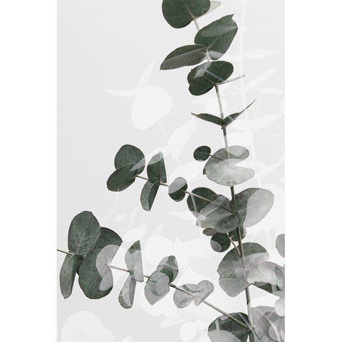 Eucalyptus Creative 04 White Modern Wood Framed Art Print by Artographie Studio