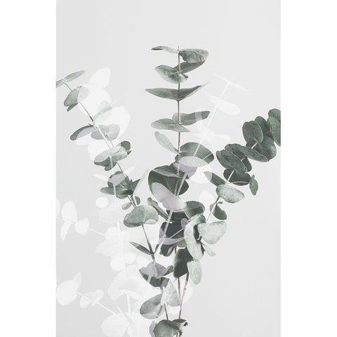 Eucalyptus Creative 07 White Modern Wood Framed Art Print by Artographie Studio