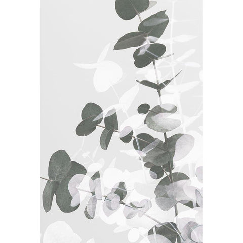 Eucalyptus Creative 09 White Modern Wood Framed Art Print by Artographie Studio