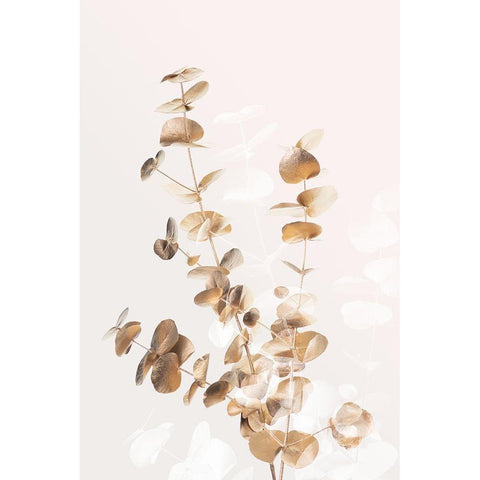 Eucalyptus Creative Gold 03 White Modern Wood Framed Art Print by Artographie Studio