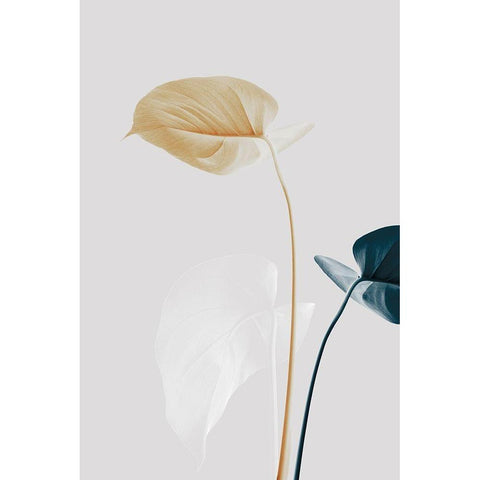 Monstera Creative 20 White Modern Wood Framed Art Print by Artographie Studio