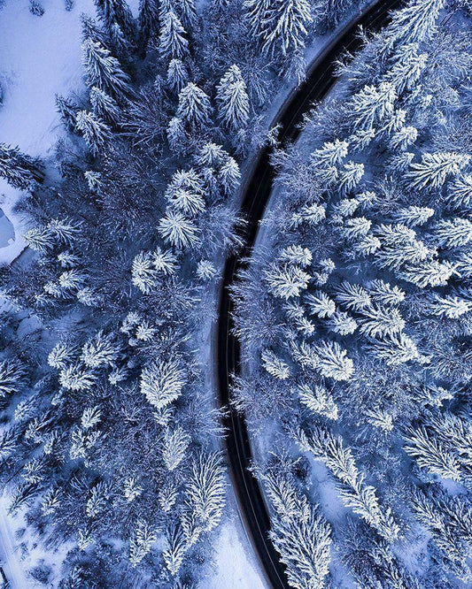 Image Only