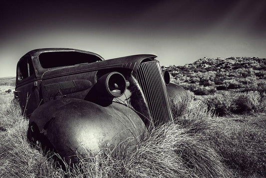 Image Only
