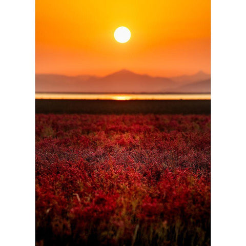 Orange Sky Black Modern Wood Framed Art Print with Double Matting by Sono, Hidenori