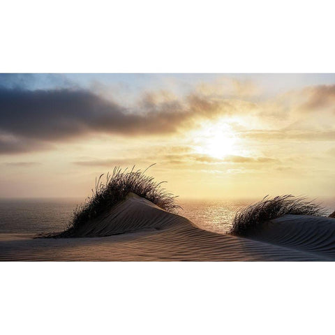 Dune Denmark Black Modern Wood Framed Art Print with Double Matting by Heggemann, Christiane