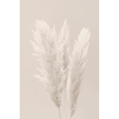 White Grasses White Modern Wood Framed Art Print by Artographie Studio